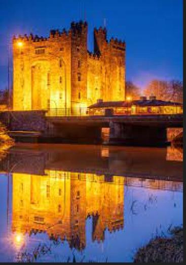 Bunratty Castle Gardens Vila Exterior foto
